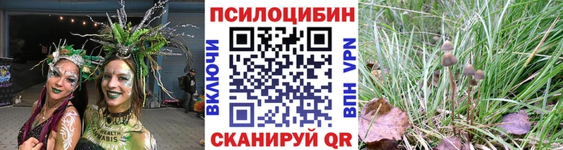 хочу Инсар Псилоцибиновые грибы Psilocybine cubensis